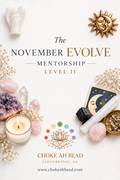 EVOLVE Mentorship — Level II