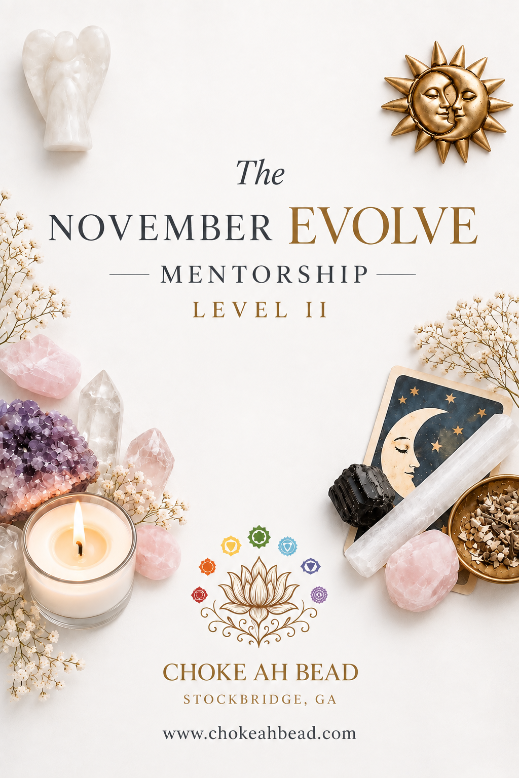 EVOLVE Mentorship — Level II